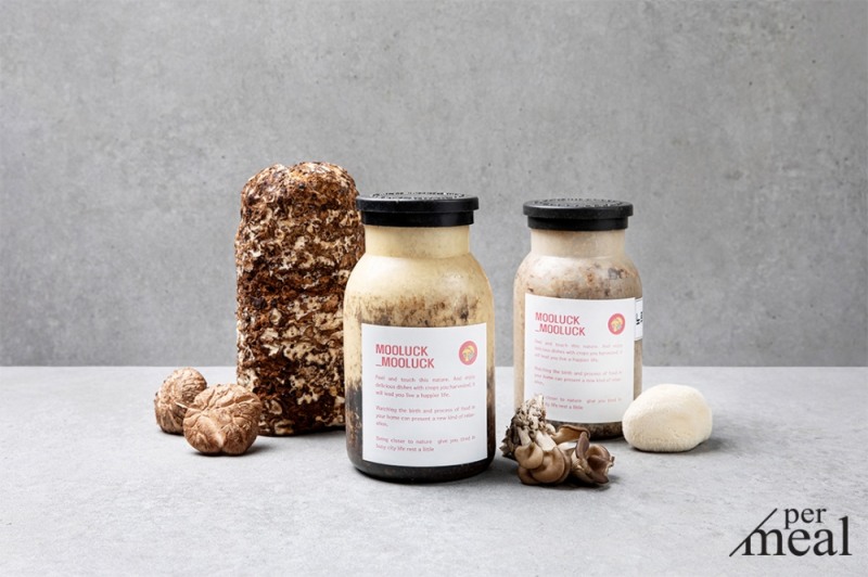 퍼밀, ‘버섯재배키트’ 출시…자급자족 미니텃밭세트 대거 선봬