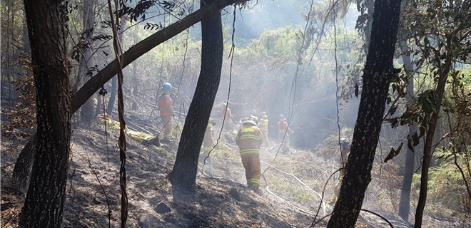 아미산 산불을 진화하고 있다.(사진제공=부산시)