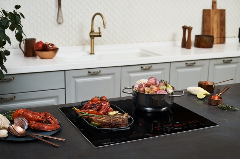 웰스(Wells), 전기레인지 2종 출시