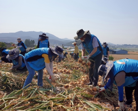 농어촌공사, 코로나19 인력난 겪는 농가에 일손 돕기
