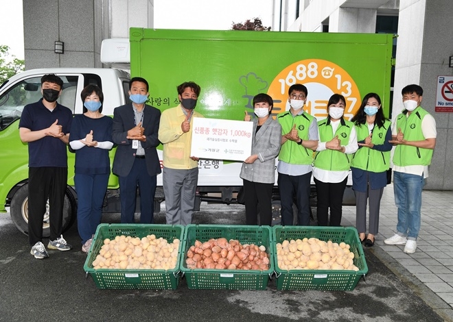 새기술실증시험포에서 시험재배한 신종품 햇감자 1000kg를 기장군지역자활센터에 전달하고 기념촬영.(사진제공=부산 기장군)