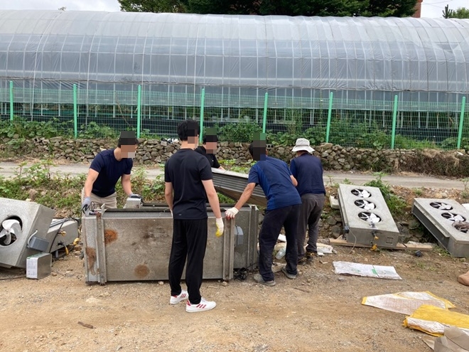 사회봉사대상자들이 수해피해 비닐하우스농가를 돕고 있다.(사진제공=부산동부준법지원센터)
