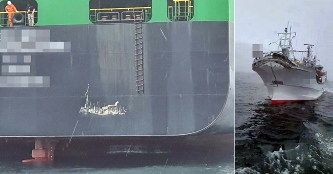 채낚기 어선이 정박중인 컨테이너선을 충돌.(사진제공=부산해양경찰서)