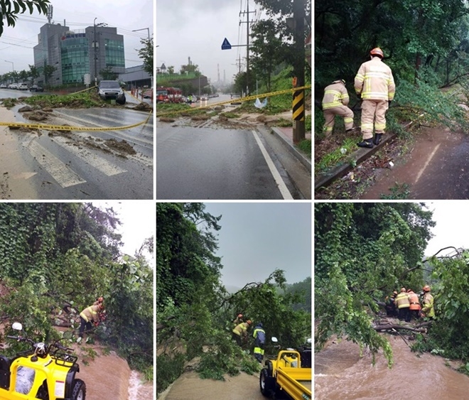 (사진제공=울산소방본부)