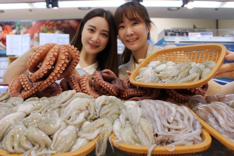 롯데마트 "여름철 대표 보양 수산물! 연체류 3종 만나보세요"