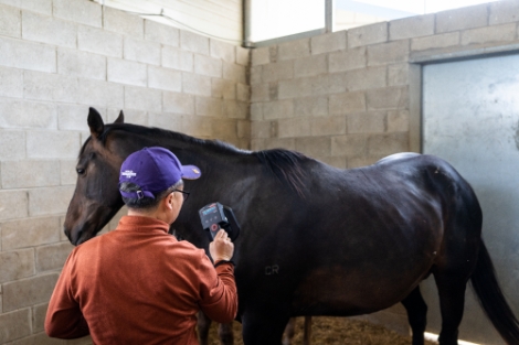 한국마사회, ‘말 등록 이력제’ 국민 의견 청취
