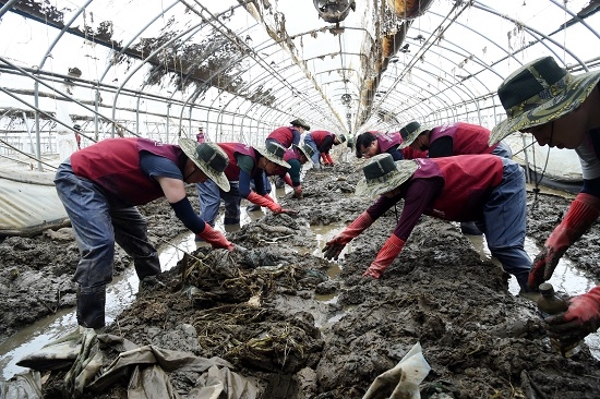 SR노사 공동 수해복구 봉사활동 모습.(사진=SR)