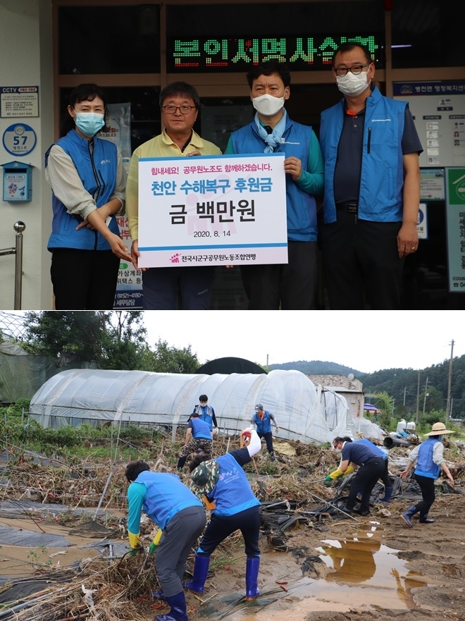 시군구연맹과 인사처 소속 공무원 40여 명이 8월 14일 충남 천안시 병천면 오이 재배 하우스를 찾아 수해복구 작업을 하고 있다. (사진제공=시군구연맹)
