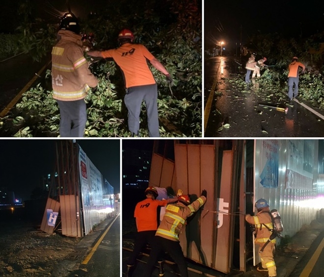소방대가 가로수 넘어진과 공사장 구조물 이탈을 조치하고 있다.(사진제공=울산소방본부)