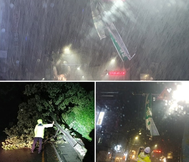 동래서 플래카드 철거 및 부산진서 가로수 조치 장면(사진제공=부산경찰청).