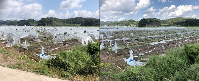 사회봉사 국민공모제 전/후 모습.(사진제공=창원준법지원센터)