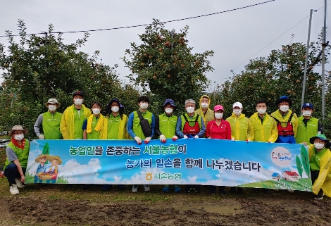 서울농협 임직원들이 16일 본격적인 수확철을 맞아 경기 포천시 신북면 소재 농가를 찾아 수확작업 전 기념촬영을 하고 있다. 사진=농협중앙회