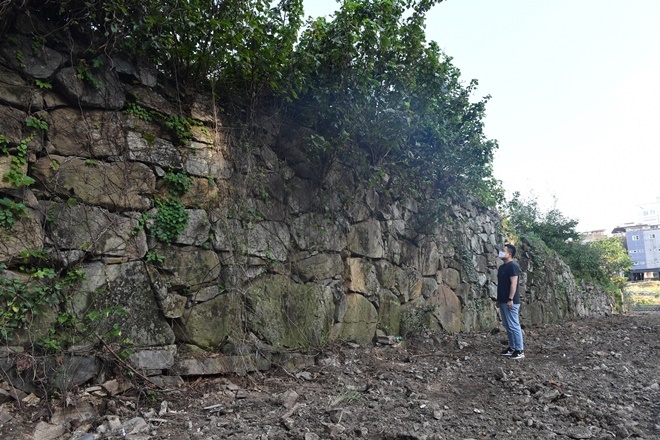 기장읍성 서쪽 성벽 모습. 현재 추진중인 국가 사적지정에도 청신호.(사진제공=부산 기장군)