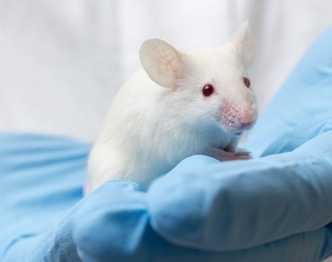 셀리버리, 다케다로부터 선천적 유전질환 치료효능 평가시험 긍정적 통보 수령