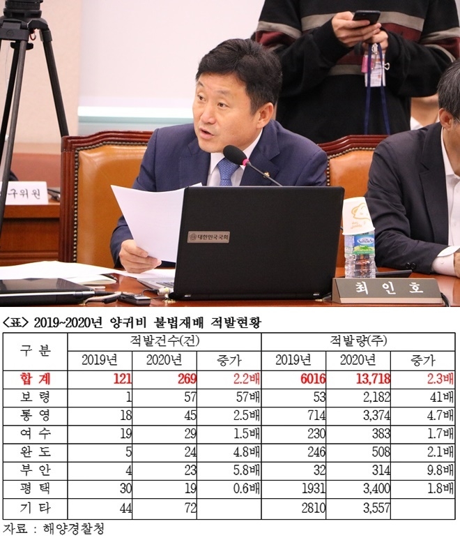 최인호 의원 국감질의/2019-2020년 야우기비 불법재배 적발현황.(제공=최인호의원실)