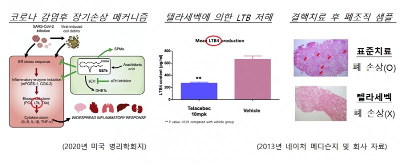 큐리언트, 코로나바이러스(COVID-19) 치료제 임상 2상 신청