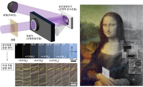 공간 광변조기와 편광자를 활용한 광반응 미세주름 형성 개념도. 사진=한국연구재단