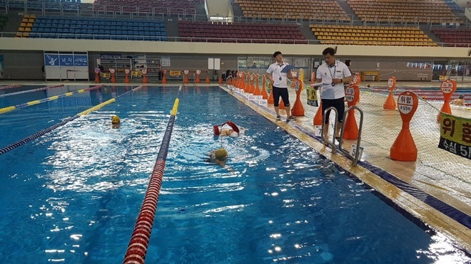 지난 7월 26일 창원실내수영장에서 진행된 제2회 수상구조사 국가자격시험 모습.(사진제공=남해지방해양경찰청)