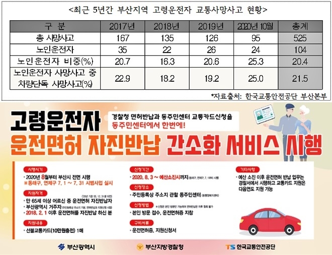 최근 5년간 부산지역 고령운전자 교통사망사고 현황.(제공=한국교통안전공단 부산본부)