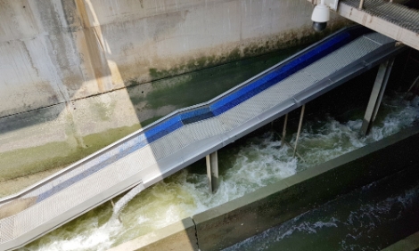 농어촌공사, 국내 최초 뱀장어 전용 어도 특허 취득