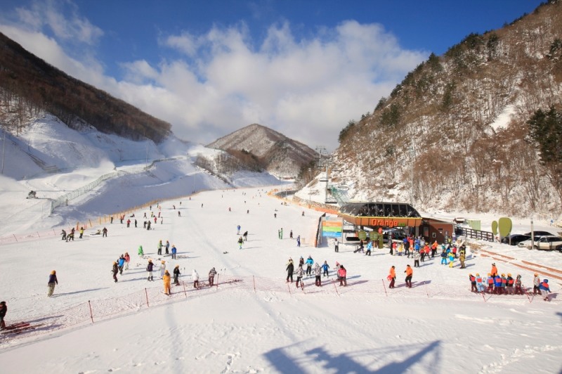 오투리조트 스키장 전경.(사진=부영그룹)