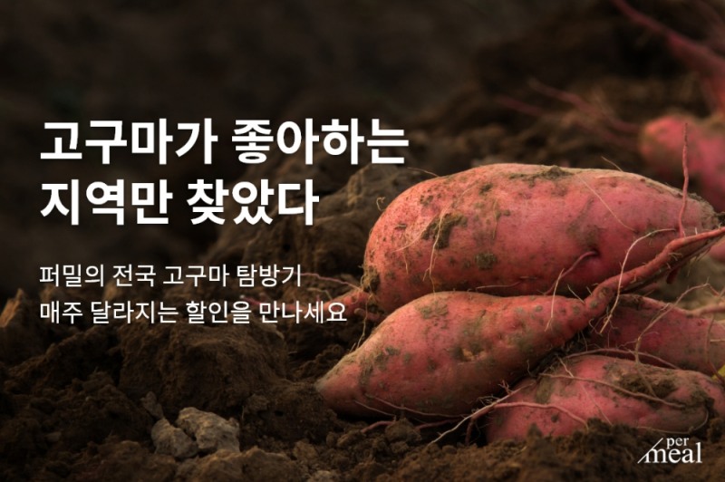 퍼밀, ‘동굴 속 고구마’ 등 전국 산지 고구마 릴레이 할인 판매