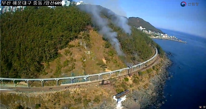 산불 현장.(제공=부산시)