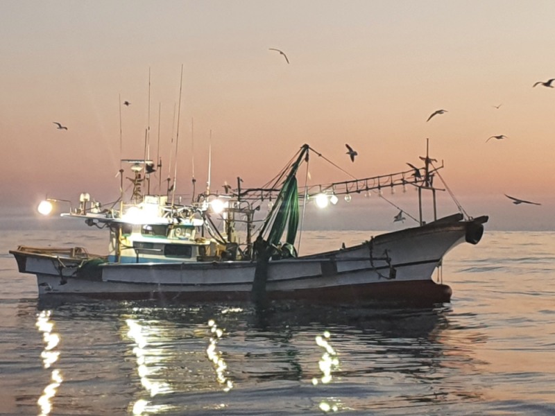 불법조업어선.(사진제공=부산해양경찰서)