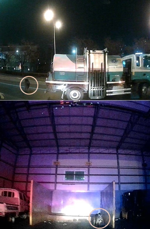 (사진제공=부산경찰청)