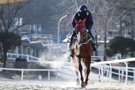 한국마사회, 국회서 '한국경마 혁신방안 토론회' 온라인 개최
