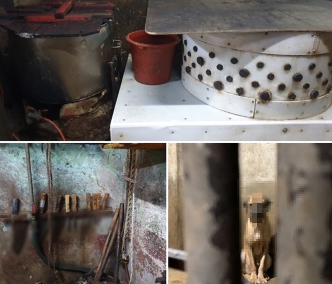 (사진제공=부산경찰청)