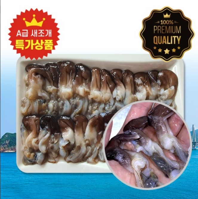 새조개 할인판매 이미지. (사진=수협중앙회)