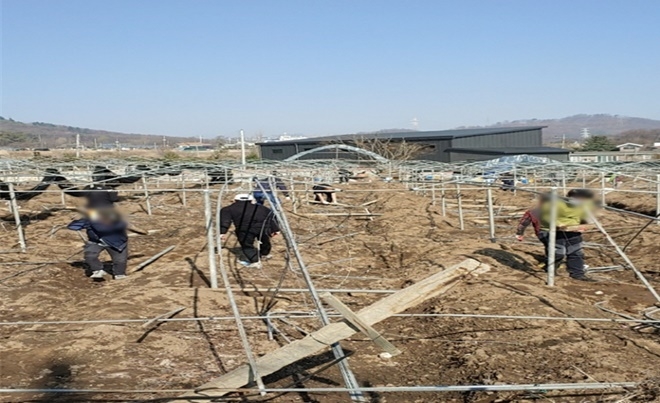 사회봉사명령대상자들이 파손된 하우스 철거 등 복구에 구슬땀을 흘리고 있다.(사진제공=의정부준법지원센터)