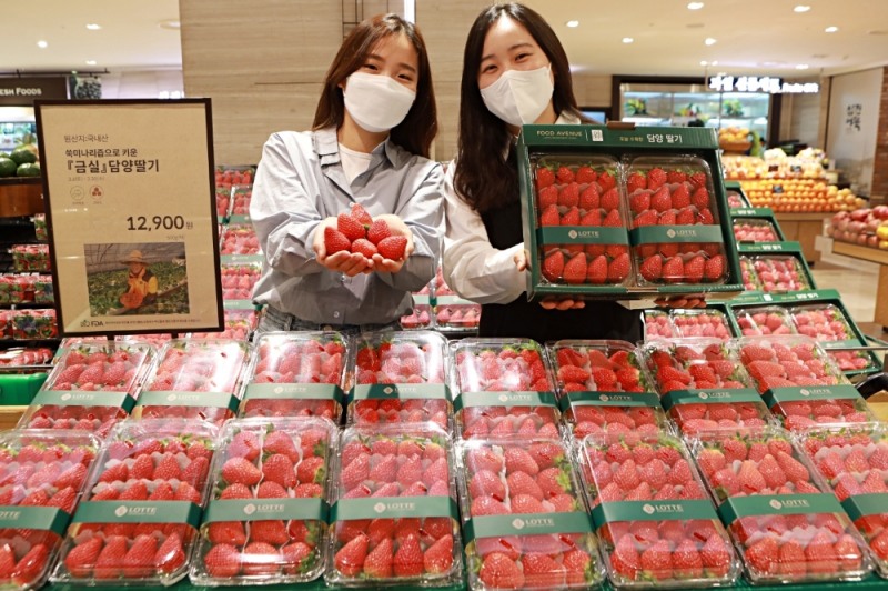 롯데백화점-담양, 금실딸기 산지 직송전 진행