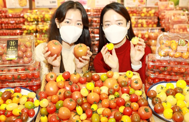 롯데마트 ‘토마토 특화존’ 선봬