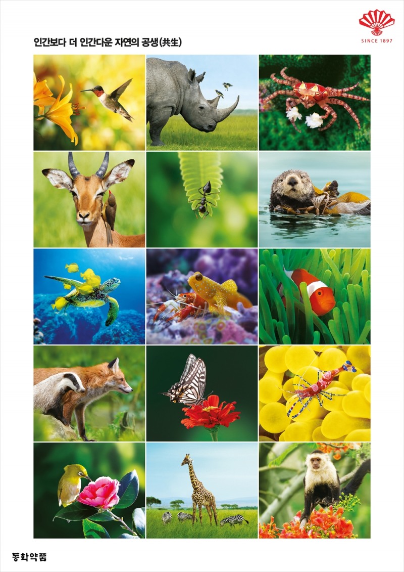 동화약품 공생(共生) 광고 시리즈 ‘국민이 선택한 좋은 광고상’ 수상