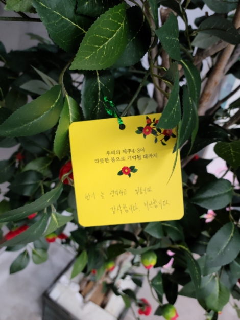 JDC, 제주4·3 73주년 맞아 ‘JDC 4·3 주간’ 운영