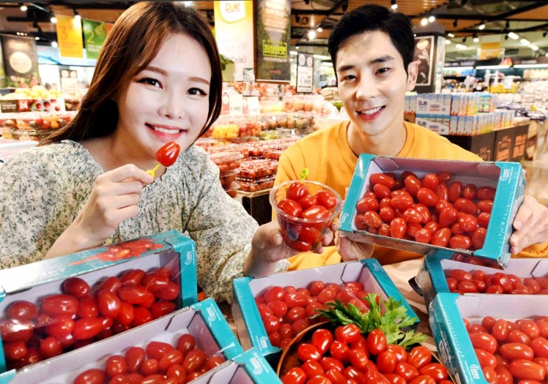 홈플러스 ‘스낵 토마토’ 출시