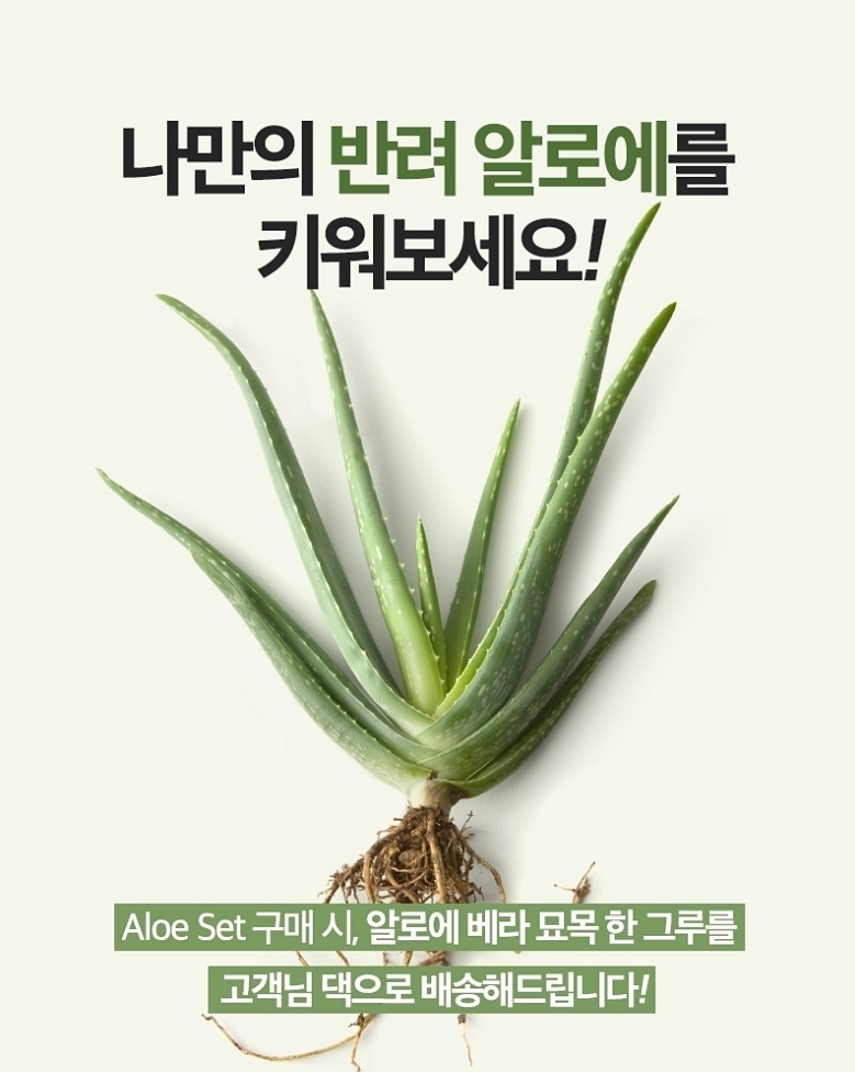 김정문알로에, 알로에 베라 묘목 증정 이벤트 실시