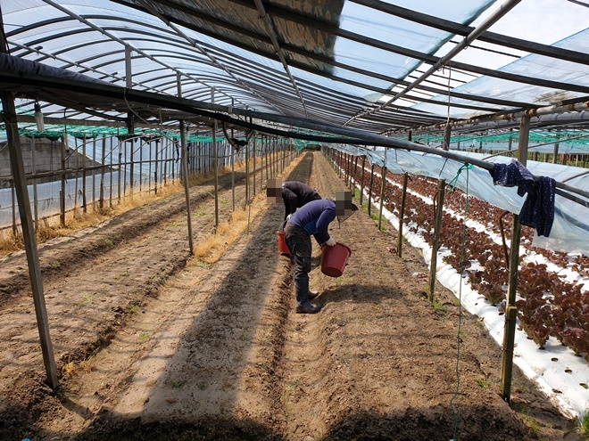 (사진제공=부산준법지원센터)