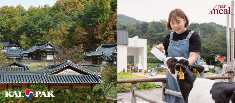 퍼밀, 칼팍(KALPAK)과 국내 프리미엄 푸디투어 진행