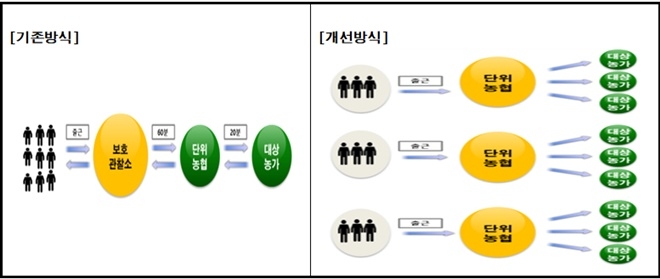새로운 사회봉사 집행방식은 기존 사회봉사 대상자가 도심의 보호관찰소에 집결하였다가 농촌현장으로 이동하는 방식을 지역 거점농협에 집결하여 곧바로 농촌현장으로 이동하는 방식으로 단순화.(제공=법무부)