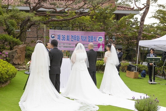 제36회 견우와 직녀 결혼식. (사진제공=한국법무보호복지공단 서울지부)