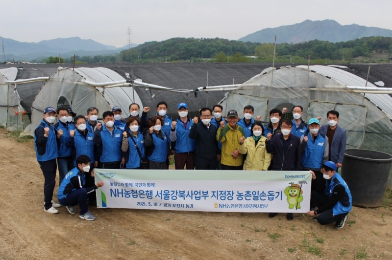농협은행 서울강북사업부 ‘농번기 일손돕기’ 돕기 나서