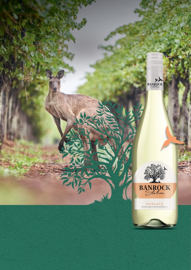 롯데마트 ‘밴락 스테이션’ 4종 판매