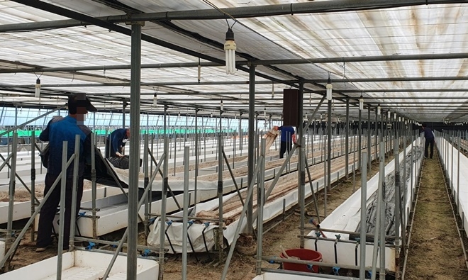 (사진제공=부산서부준법지원센터)