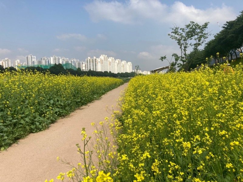 금천구, 안양천 농촌테마 풍경길 조성