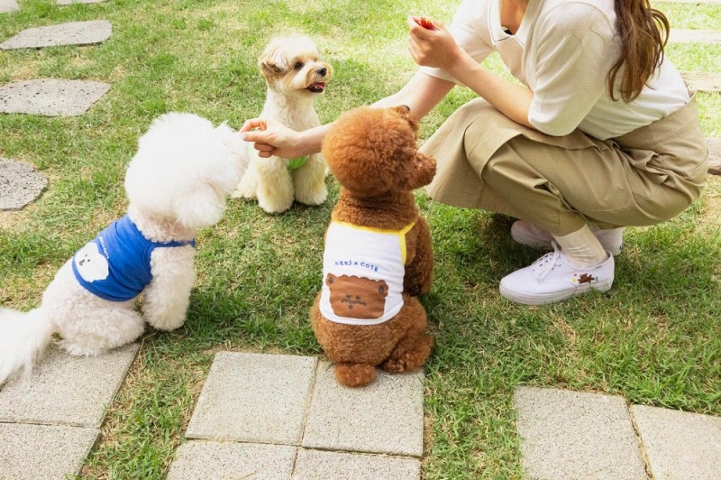 휠라코리아 ‘꼬떼아꼬떼’와 콜라보 한정판 출시