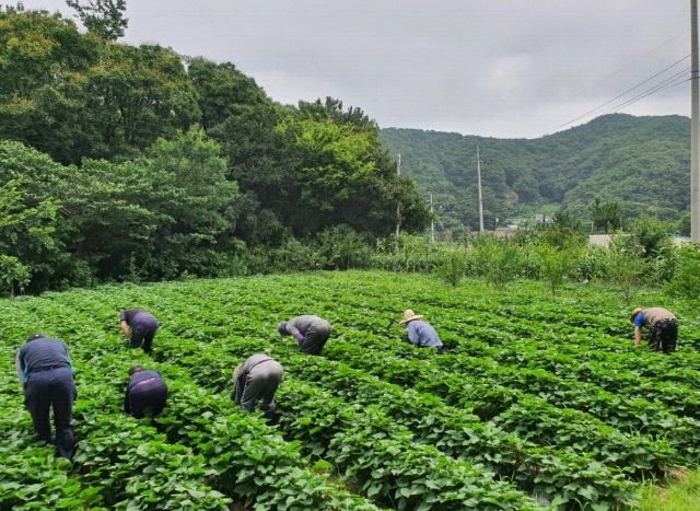 (사진제공=포항준법지원센터)