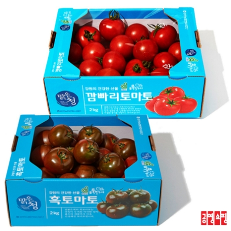 공영라방, 축제 취소된 ‘화천 토마토’ 판로지원 나서